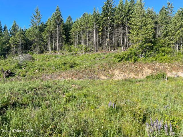 330 Living Waters WAY, Priest River, ID 83856