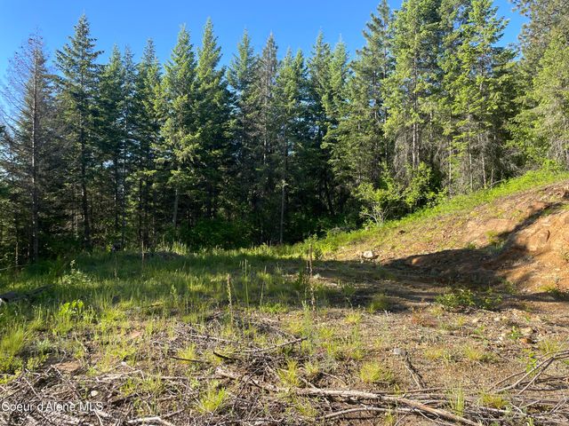330 Living Waters WAY, Priest River, ID 83856