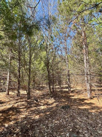 6379 Jeffrey Place, Grawn, MI 49637