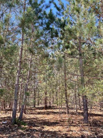 6379 Jeffrey Place, Grawn, MI 49637