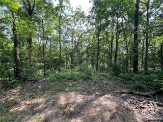 0 Lakeview Dr, Wappapello, MO 63966
