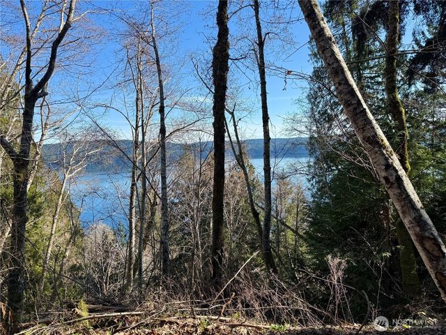 61 Devereaux Drive, Lilliwaup, WA 98555