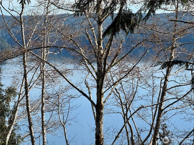 61 Devereaux Drive, Lilliwaup, WA 98555