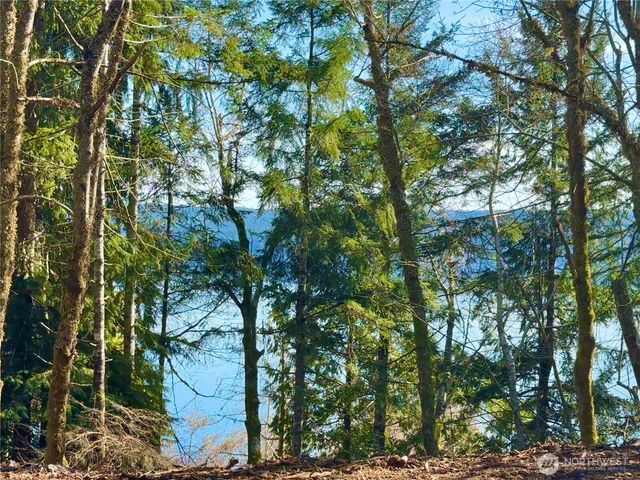 61 Devereaux Drive, Lilliwaup, WA 98555