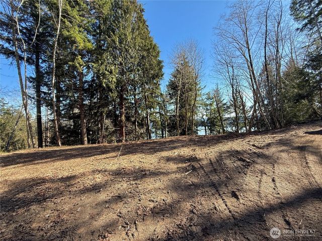 61 Devereaux Drive, Lilliwaup, WA 98555