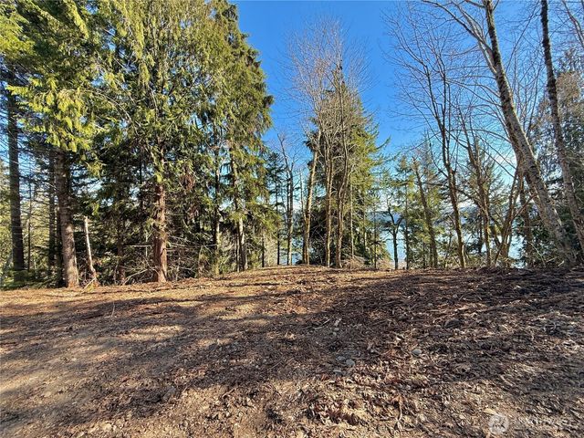 61 Devereaux Drive, Lilliwaup, WA 98555