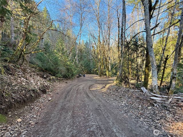 61 Devereaux Drive, Lilliwaup, WA 98555