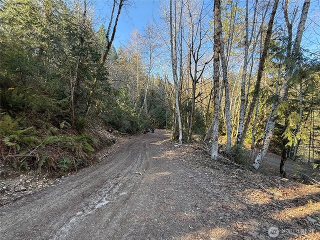 61 Devereaux Drive, Lilliwaup, WA 98555