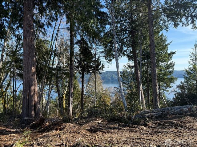 61 Devereaux Drive, Lilliwaup, WA 98555