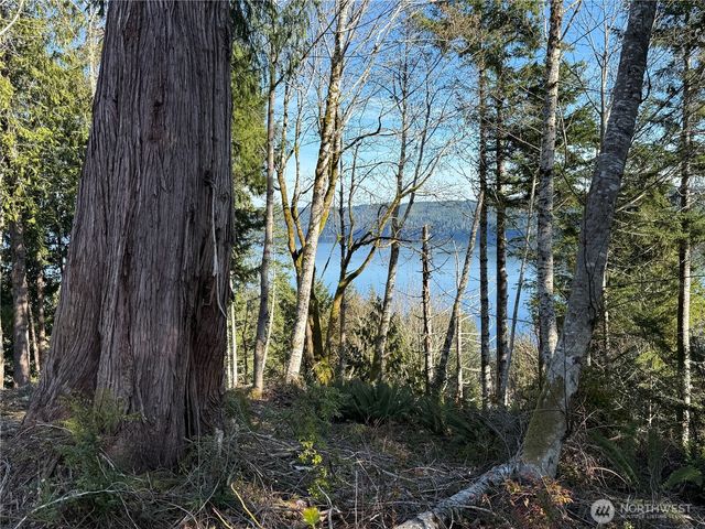 61 Devereaux Drive, Lilliwaup, WA 98555