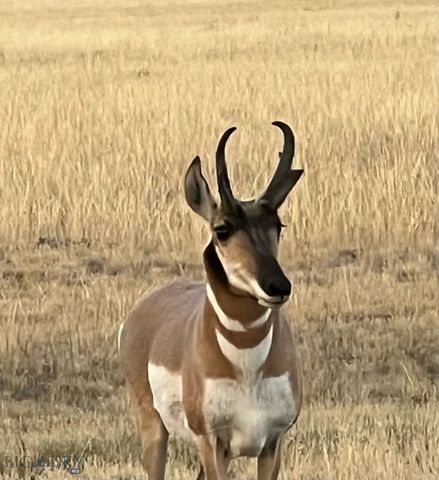 37 Staggers Lane South, Cameron, MT 59720