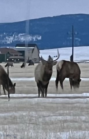 37 Staggers Lane South, Cameron, MT 59720