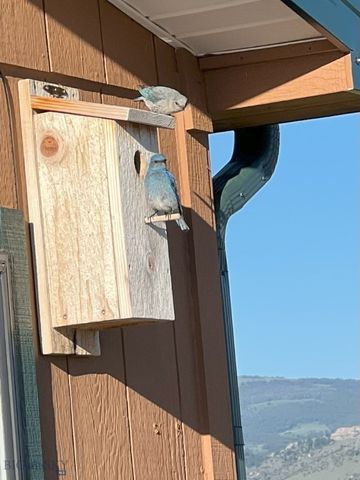 37 Staggers Lane South, Cameron, MT 59720