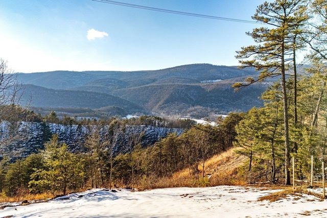 147 BEAR RIDGE RD, Milam, WV 26838