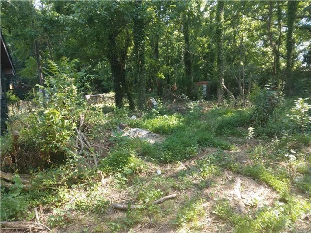 1122 SW West SW Avenue, Atlanta, GA 30315