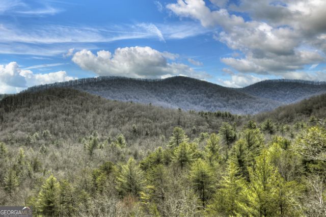 108 Skydancer Ridge, Blue Ridge, GA 30513