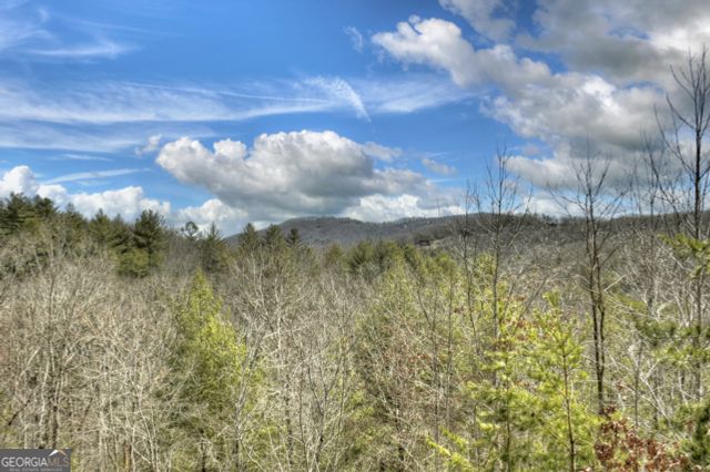 108 Skydancer Ridge, Blue Ridge, GA 30513