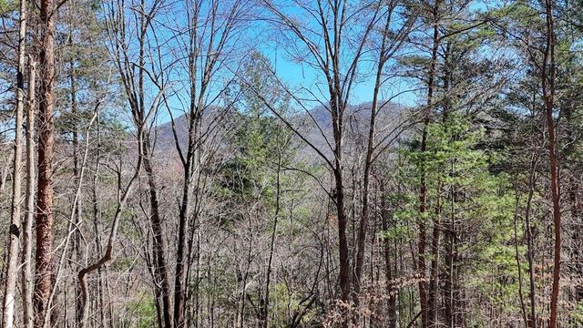 Lot 10 Firefly Ridge Road, Blairsville, GA 30512