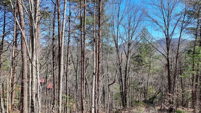 Lot 10 Firefly Ridge Road, Blairsville, GA 30512