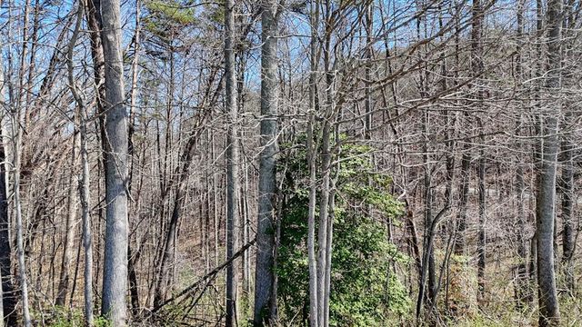 Lot 10 Firefly Ridge Road, Blairsville, GA 30512