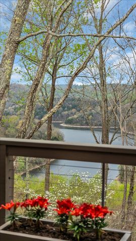 8581 Silver View Ln, Silver Point, TN 38582