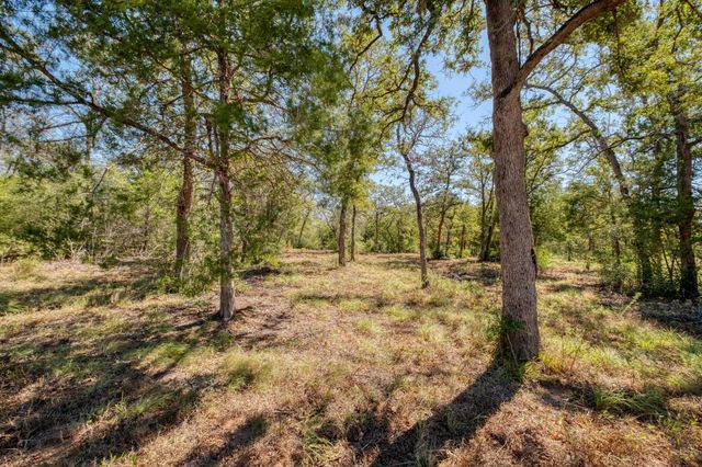 532 Peach Creek RD, Rosanky, TX 78953