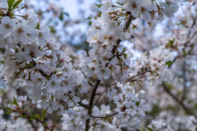 6474 Walden Pond Lane, Southport, NC 28461