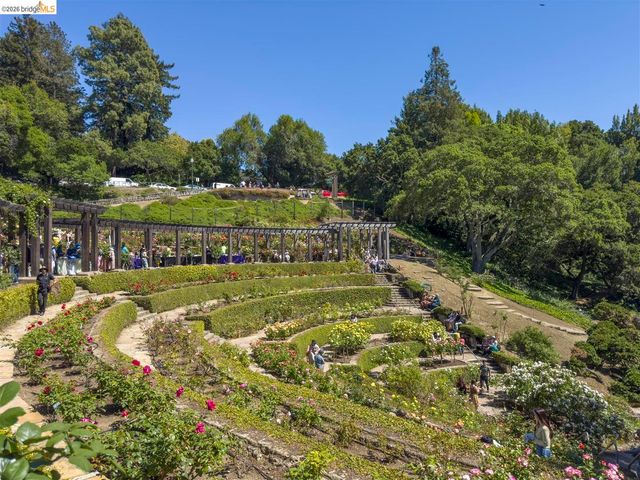 955 Shattuck Avenue, Berkeley, CA 94707