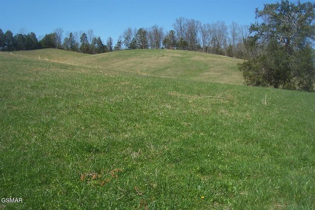 Lot 1 Flat Creek Rd, Sevierville, TN 37876