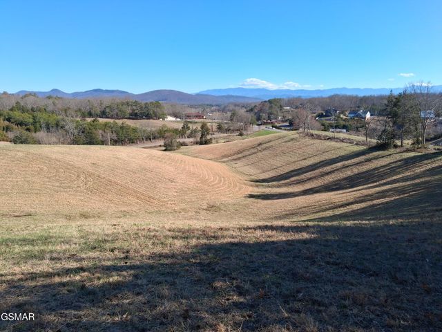 Lot 1 Flat Creek Rd, Sevierville, TN 37876