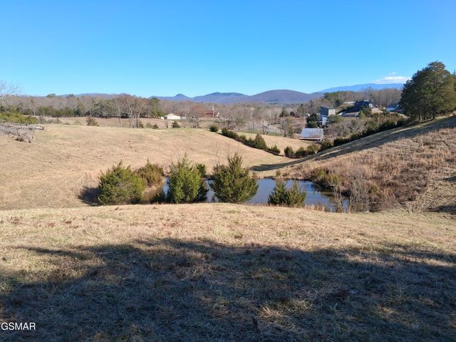 Lot 1 Flat Creek Rd, Sevierville, TN 37876