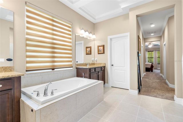 16726 COURTYARD LOOP, Land O Lakes, FL 34638