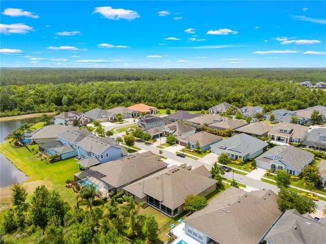 16726 COURTYARD LOOP, Land O Lakes, FL 34638