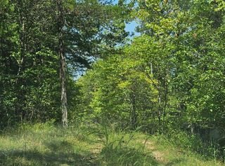 000 Homestead Cedar Hills, Theodosia, MO 65761