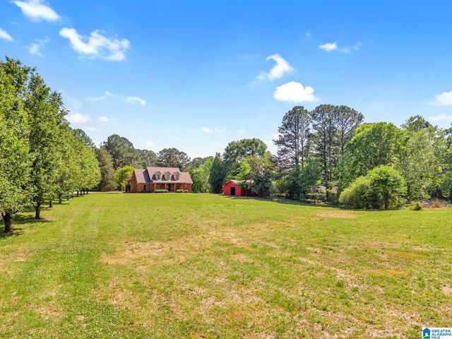 9869 HILL LANE, Warrior, AL 35180