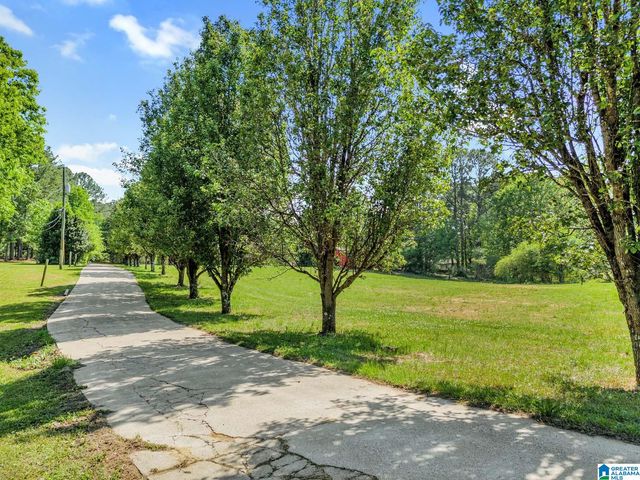 9869 HILL LANE, Warrior, AL 35180