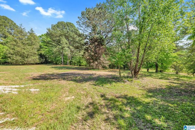 9869 HILL LANE, Warrior, AL 35180