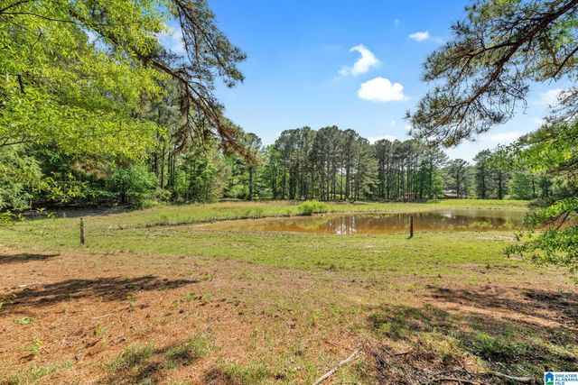 9869 HILL LANE, Warrior, AL 35180