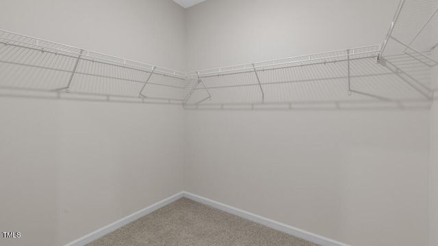 1409 White Verona Way, Knightdale, NC 27545