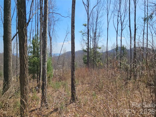 189 Dancing Bear Drive, Hendersonville, NC 28792