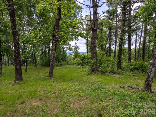 189 Dancing Bear Drive, Hendersonville, NC 28792