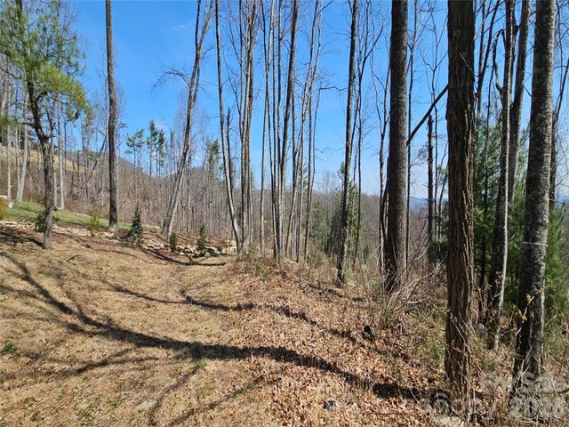 189 Dancing Bear Drive, Hendersonville, NC 28792