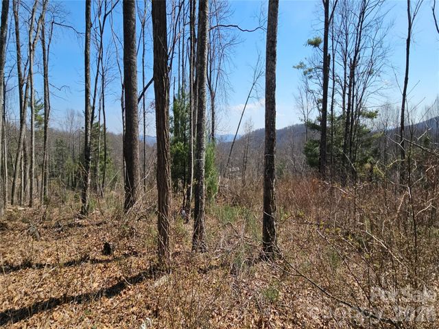 189 Dancing Bear Drive, Hendersonville, NC 28792