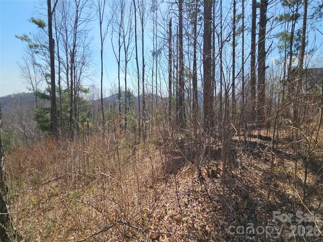 189 Dancing Bear Drive, Hendersonville, NC 28792