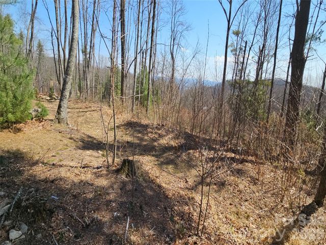 189 Dancing Bear Drive, Hendersonville, NC 28792