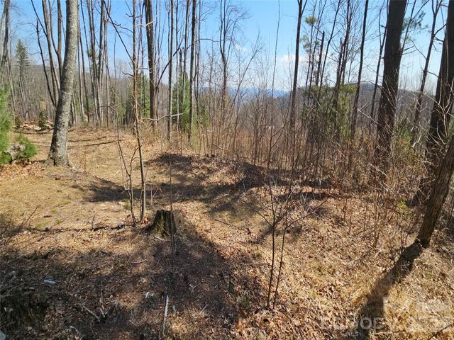 189 Dancing Bear Drive, Hendersonville, NC 28792