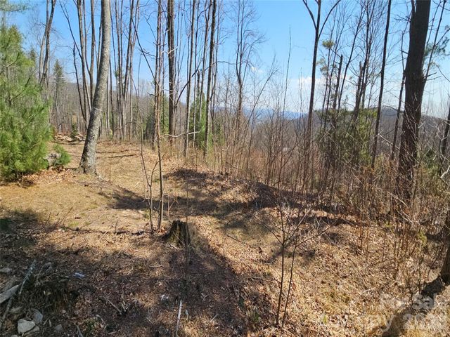 189 Dancing Bear Drive, Hendersonville, NC 28792