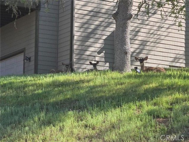 2488 Captains Walk, Bradley, CA 93426