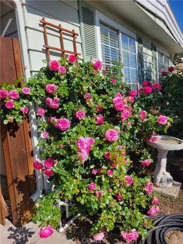 38195 Via Taffia, Murrieta, CA 92563