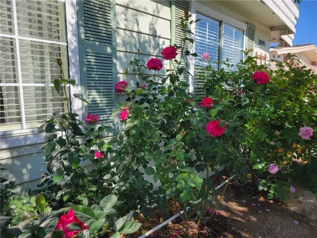 38195 Via Taffia, Murrieta, CA 92563